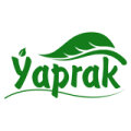 Ýaprak 