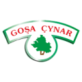 Goşa Çynar